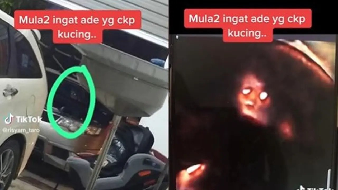Awalnya Disangka Kucing, Penampakan Hantu di Mobil Ini Bikin Merinding