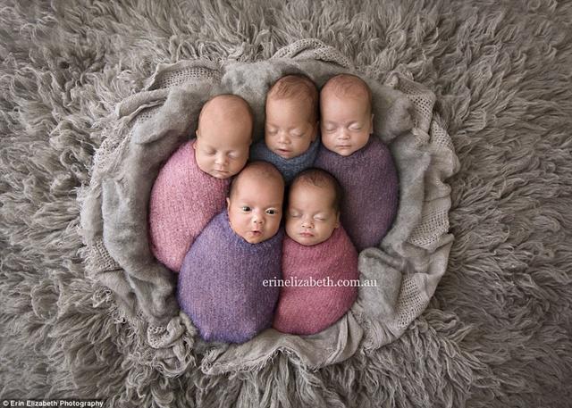 Bayi kembar lima buah hati Kim Tucci | Photo: Copyright dailymail.co.uk