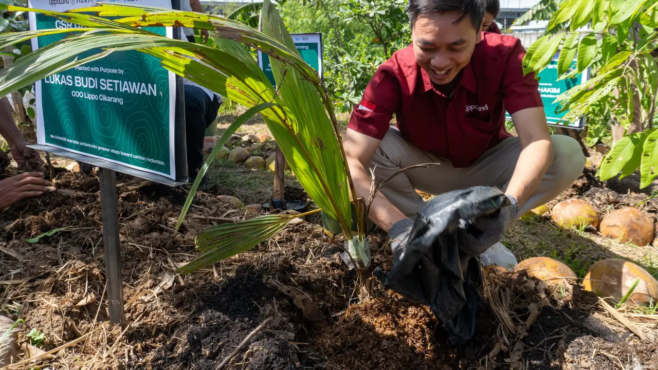 Program CSR Urban Farming yang dijalankan pengembang properti perkotaan Lippo Cikarang Cosmopolis. (Dok PT Lippo Cikarang Tbk)