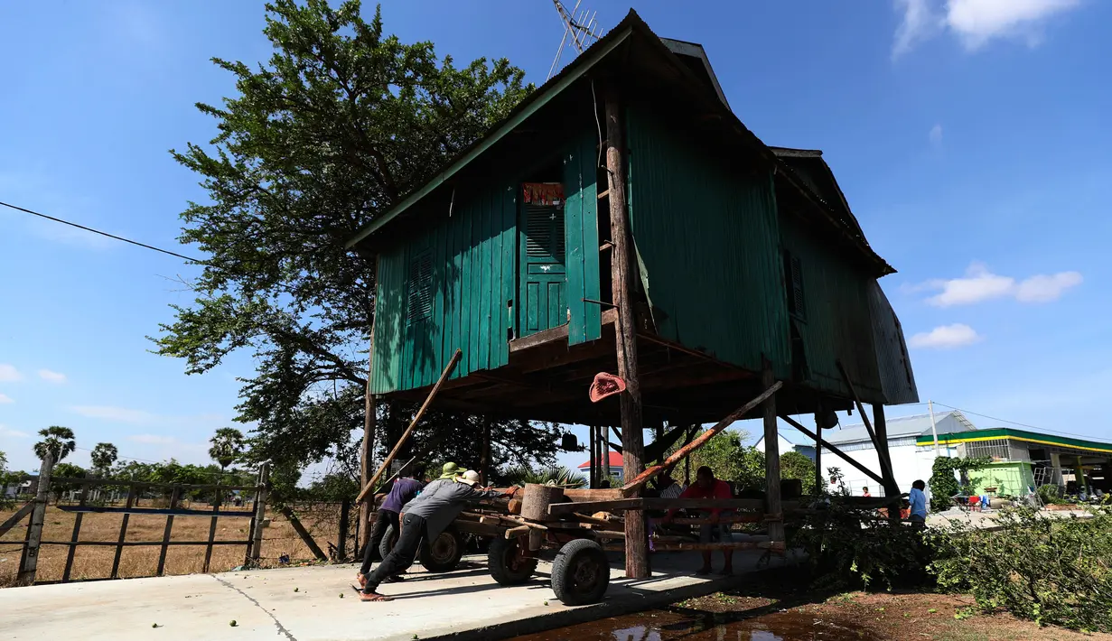 Penduduk desa Kamboja memindahkan sebuah rumah kayu di desa Pon Sang di sisi utara Phnom Penh, Kamboja (26/4/2020). Ini adalah cara bergerak tradisional yang dikumpulkan penduduk desa untuk saling membantu dengan menggunakan traktor dan batang kayu. dengan menjaga rumah tetap utuh. (AP/Heng Sinith)
