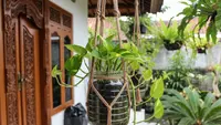 7 Ide Daur Ulang Toples Plastik Jadi Barang Berguna, Solusi Kreatif Rumah Tangga