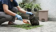 Cara Mengelola Kotoran Hewan di Halaman Rumah agar Tidak Bau dan Mengundang Lalat