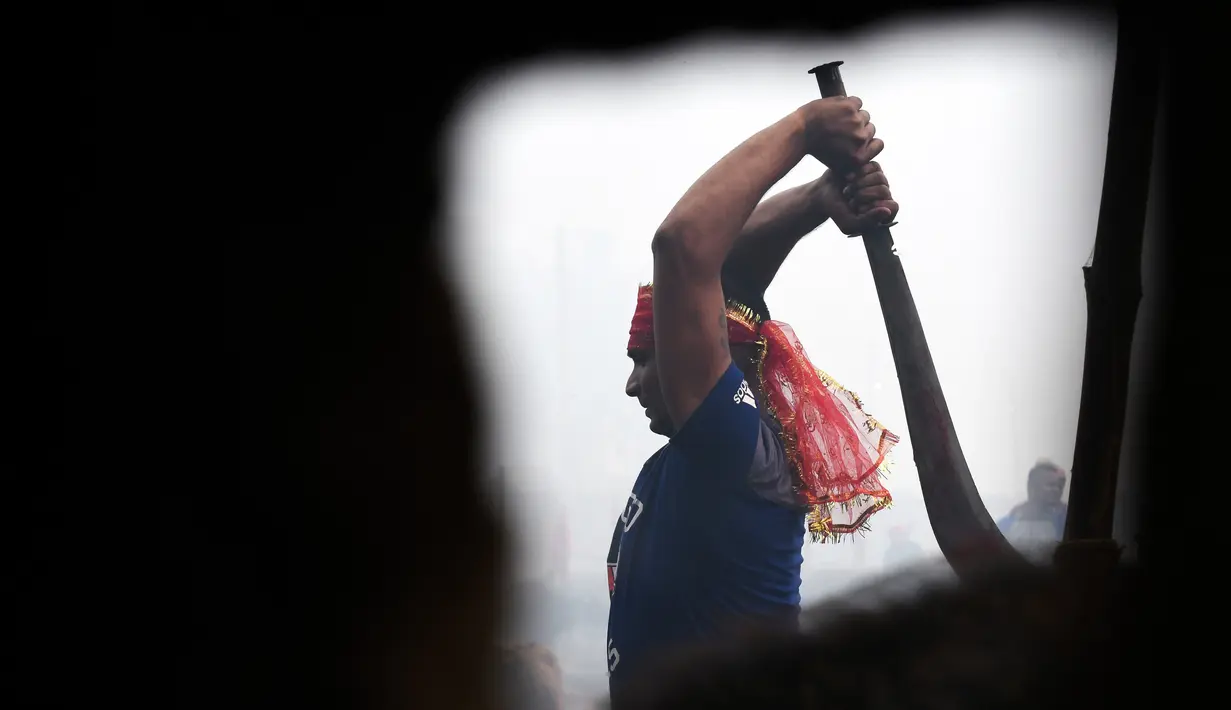 Seorang umat Hindu mengayunkan parang saat ingin memenggal seekor kerbau dalam Festival Gadhimai di Bariyarpur, 160 km dari Kathmandu, Nepal (3/12/2019). Festival ini dikenal sebagai ritual pengorbanan hewan terbesar di dunia. (AFP/Prakash Mathema)