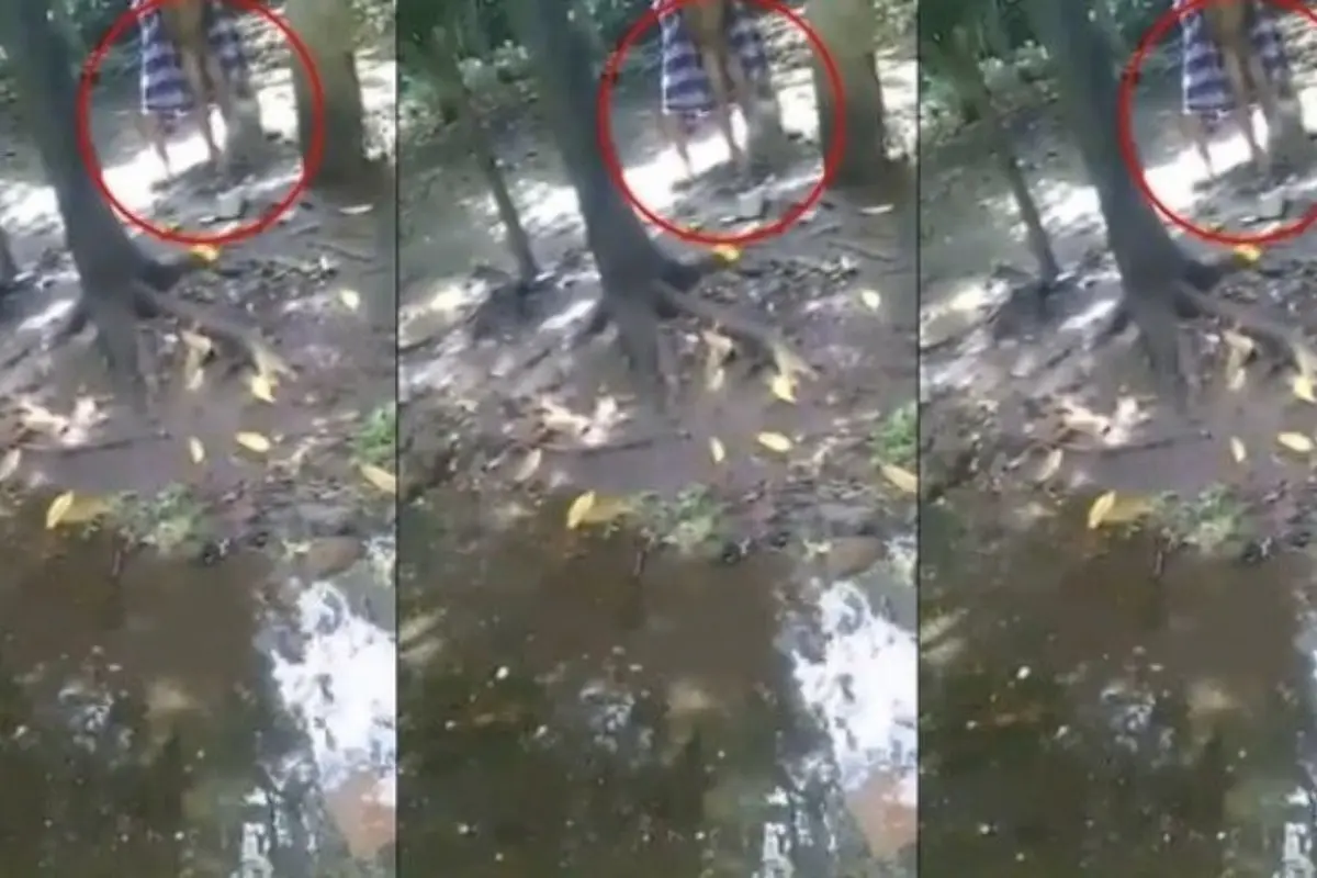 [Bintang] Lagi Viral! Ini Video Kakek yang Tega Umpankan Cucunya ke Monyet