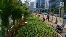 Pekerja menanam pohon di jalur pedestrian Jalan Sudirman, Jakarta, Jumat (6/7). Penanaman pohon dilakukan untuk mempercantik Jakarta jelang Asian Games 2018. (Liputan6.com/Arya Manggala)