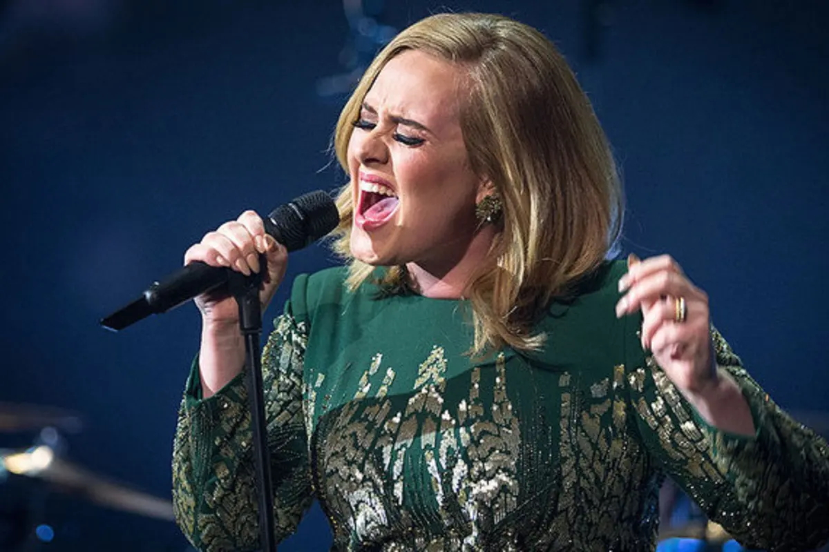 Adele (BBC/Guy Levy)