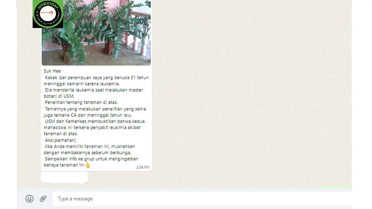 Tangkapan layar  klaim tanaman pemicu leukemia