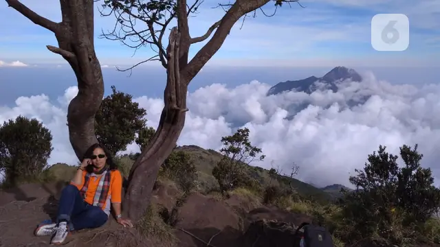 sumbing