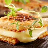 ilustrasi sandwich keju/copyright by wideonet (Shutterstock)