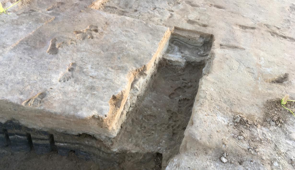 Gambar tak bertanggal terlihat fosil jejak kaki di New Mexico. Menurut penelitian yang diterbitkan pada 23 September 2021, jejak kaki berusia 23.000 tahun itu menunjukkan manusia menetap di Amerika Utara jauh sebelum akhir Zaman Es terakhir. (HO/National Park Service and Bournemouth University/AFP)