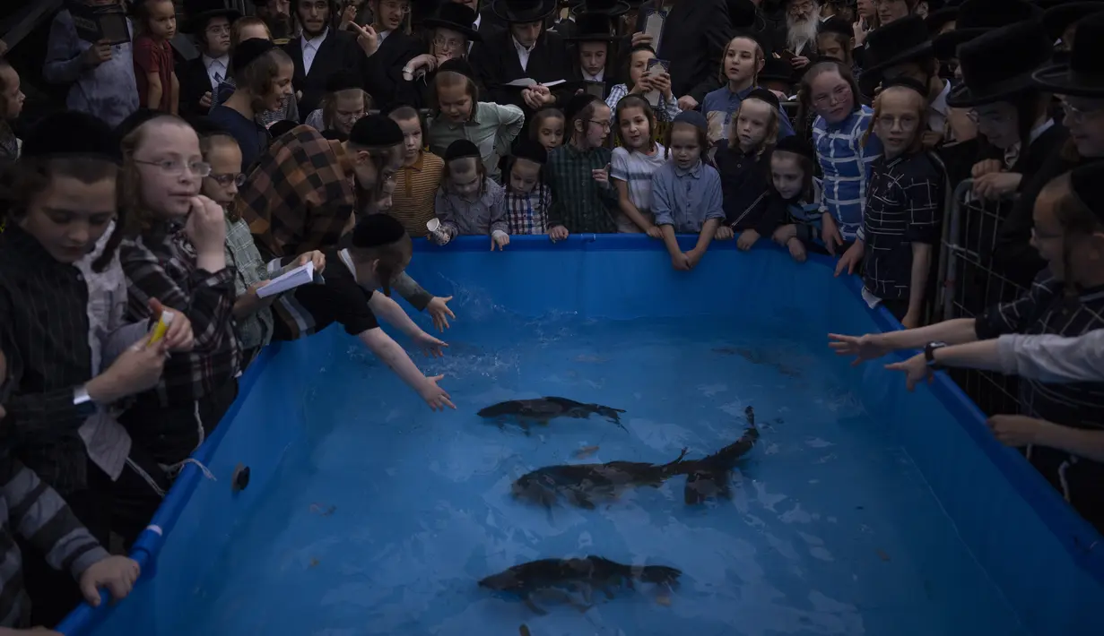 Kaum Yahudi Ultra-Ortodoks mengelilingi kolam plastik dengan air dan ikan saat mereka berpartisipasi dalam upacara Tashlich di kota ultra-Ortodoks Israel Bnei Brak dekat Tel Aviv, Senin, 3 Oktober 2022. Upacara ini dilakukan sehari sebelum perayaan hari raya Yahudi, Yom Kippur, hari paling suci dalam tahun Yahudi yang dimulai pada Selasa. (AP Photo/Oded Balilty)