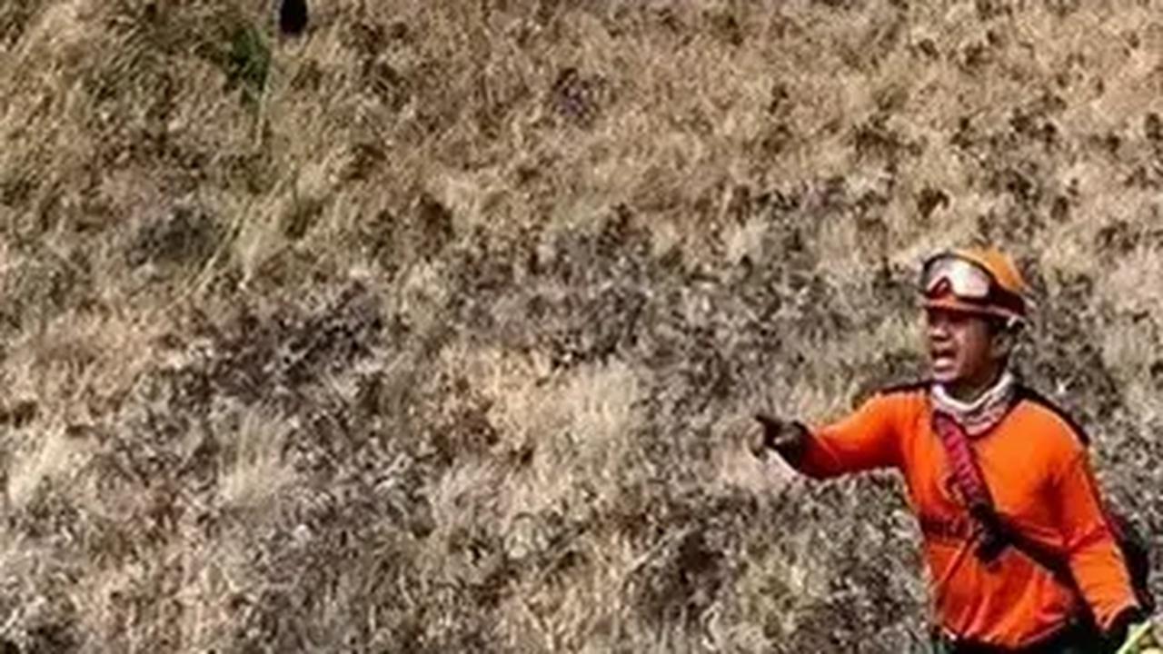 Ditutup Total, Wisatawan Masih Bisa Nikmati Keindahan Bromo Lewat Spot Ini