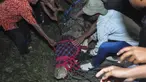 Warga membebaskan seekor buaya dari ban yang tersangkut pada lehernya selama sekitar lima tahun sebelum dilepaskan ke sungai di Palu, Sulawesi Tengah, 7 Februari 2022. Usai dilepaskan dari jerat ban yang menyiksanya, buaya sepanjang sekitar 6 meter tersebut langsung dilepaskan. (MUHAMMAD RIFKI/AFP)