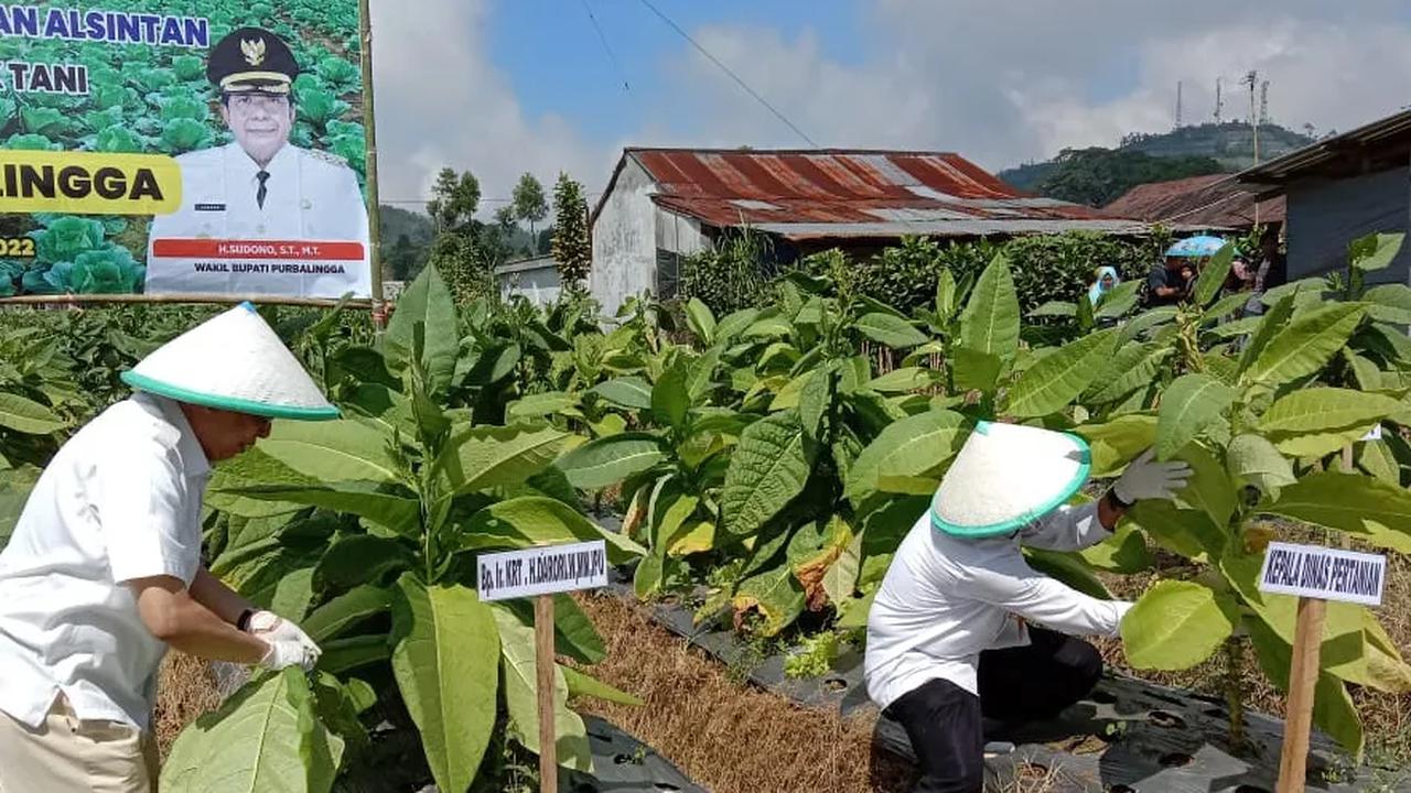 "Penerimaan yang diperoleh industri kreatif akan menurun 9-10 persen yang akan berdampak besar terhadap penyerapan tenaga kerja dan pendapatan industri kreatif," ucap dia.