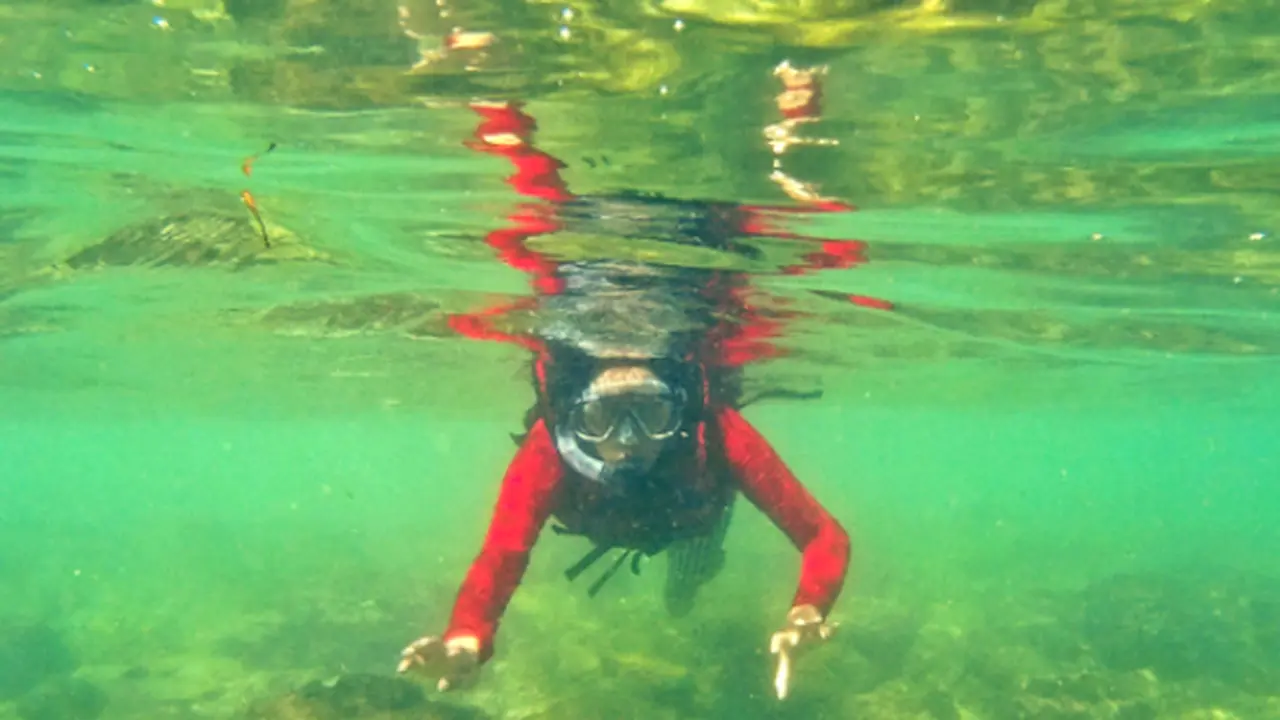 Serunya Snorkeling di Pantai Sadranan Yogyakarta
