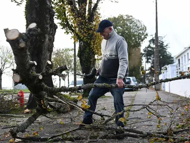 Warga memotong pohon yang tumbang di depan rumahnya di Saint-Nazaire, Prancis Barat, pada tanggal 2 November 2023, usai badai Ciaran menghantam wilayah tersebut. (Sebastien SALOM-GOMIS/AFP)
