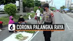 THUMBNAIL CORONA