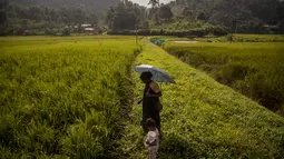 Seorang wanita etnis Khasi ditemani seorang anak kecil memancing di sawah di desa Umwang, di sepanjang perbatasan negara bagian Assam-Meghalaya, India, Rabu (27/10/2021). Lebih dari 60 persen dari 1,3 miliar warga India bertani. (AP Photo/Anupam Nath)