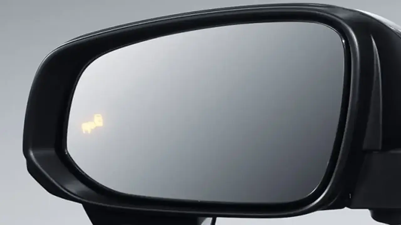 Blind Spot Monitoring System