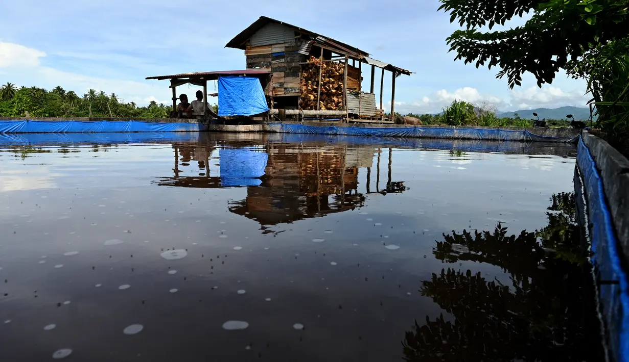 Pekerja beristirahat saat mengolah bahan dari pohon sagu di sebuah desa di Labuhan Haji, provinsi Aceh selatan (26/10/2021). Pohon Sagu, atau Rumbia, banyak tumbuh di berbagai wilayah di Indonesia. (AFP/Chaideer Mahyuddin)
