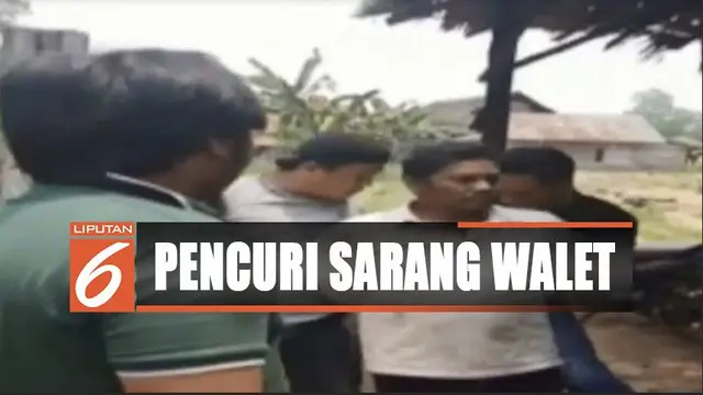 Video Amatir Penggerebekan Pelaku Pencuri Sarang Walet di Jambi
