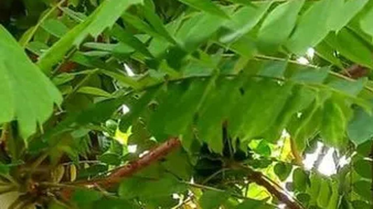13. Kesehatan Tulang yang Terjaga dengan Kalsium, Fosfor, dan Magnesium