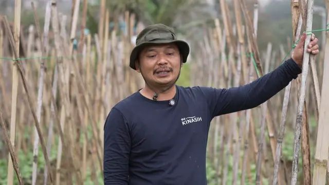 Budi, petani yang menyuplai untuk dapur MBG di Boyolali, Jawa Tengah.