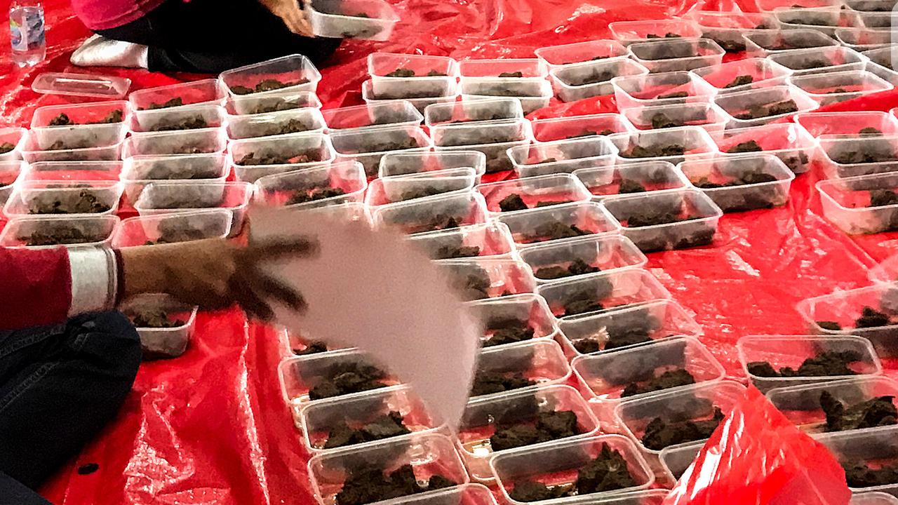 Kadin Bangun Dapur Umum MBG, Target 1.000 Titik di Seluruh Indonesia