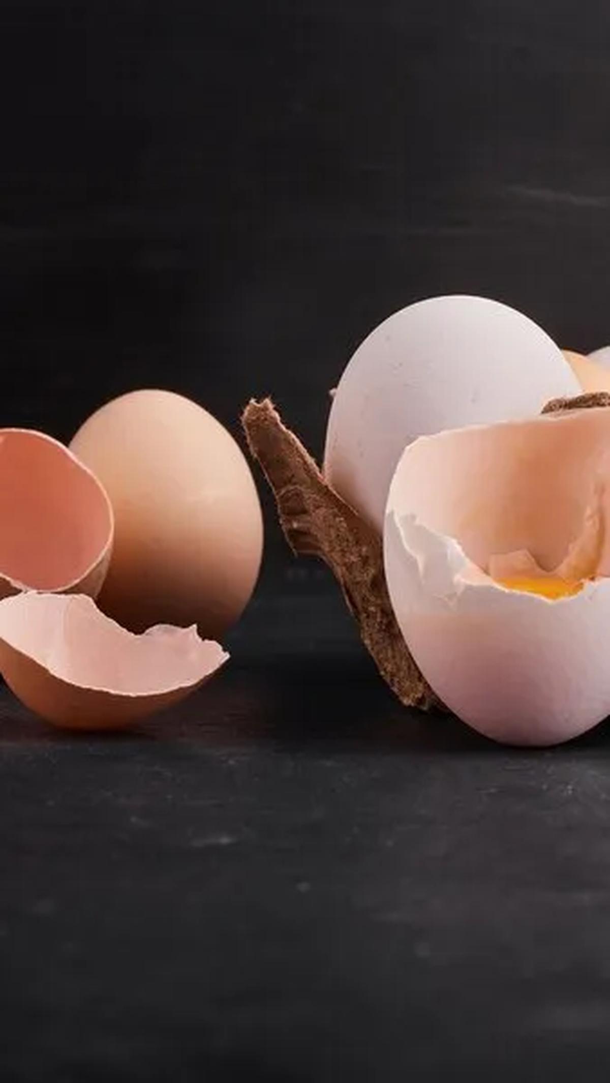 Jadi, jangan terburu-buru membuang cangkang telur, karena masih banyak hal yang bisa kita lakukan dengannya!