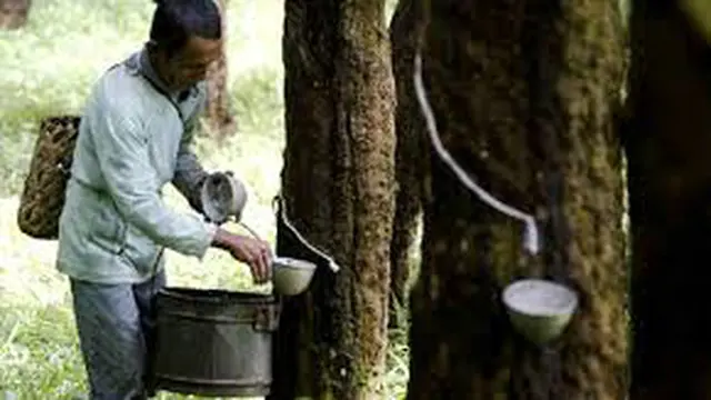Industri Karet Alam Kembali Sumringah Tahun Depan