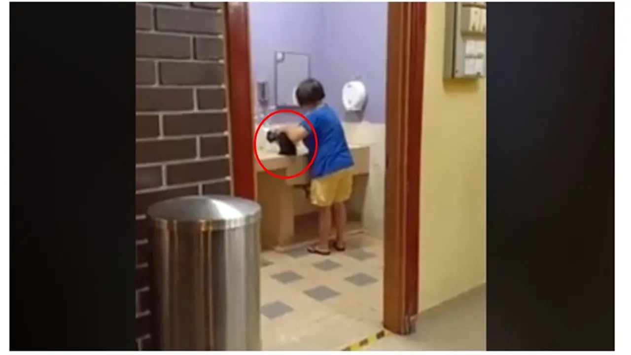 Wanita Mandikan Anjing di Wastafel