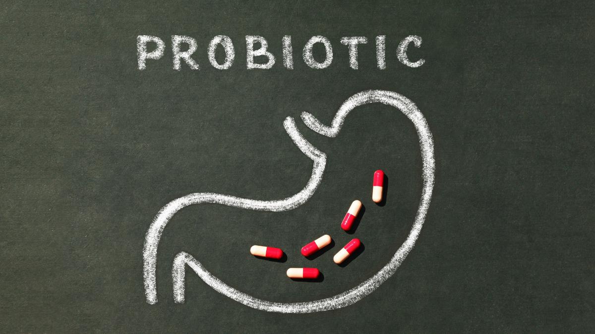 Bisakah Konsumsi Probiotik Bantu Suasana Hati dan Imunitas Selain Kesehatan Usus?