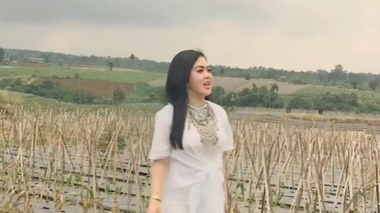 Potret Vila Syahrini Seluas 30 Hektar di Sukabumi Tak Tersorot, Ada Perkebunan Luas yang Buat Bahagia saat Panen