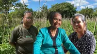 Mama Ima, Maria dan Tamar adalah disabilitas dan lansia dan mereka menjadi kelompok yang paling rentan terhadap perubahan iklim, dua kali lebih terdampak dari orang normal pada umumnya (Liputan6.com/Teddy Tri Setio Berty).