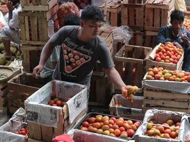 Pedagang menata tomat dagangannya di Pasar Induk Kramat Jati, Jakarta, Selasa (22/12). Jelang Natal dan tahun baru, harga sayur mayur dan beberapa kebutuhan pokok lainnya di beberapa pasar tradisional di Jakarta merangkak naik. (Liputan6.com/Angga Yuniar)