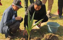 Trivia: 55 Bibit Kelapa Ditanam! IAHN Mpu Kuturan Singaraja Tanam Pohon untuk Lingkungan dan Ekoteologi