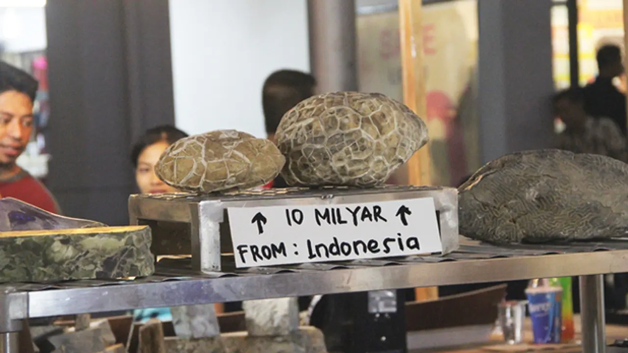 Batu Giok Kura-kura - Jakarta fair Kemayoran 2015