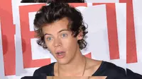 Harry Styles dan Niall Horan Bantu Penggemar Melamar Kekasih