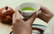 Waktu Terbaik Minum Teh Hijau agar Manfaatnya Maksimal untuk Kesehatan
