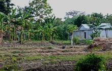 Tersembunyi di Tengah Sawah Pinggir Kuburan, ‘Warung’ Karaoke Ini adalah Warisan Tak Biasa dari Mbah Bo di Nganjuk