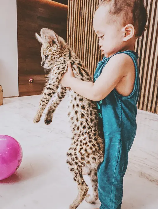 IG/okintph
