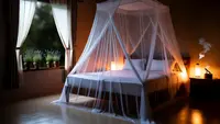 Cara Mengatasi Nyamuk di Kamar yang Ampuh dan Aman agar Tidur Nyenyak