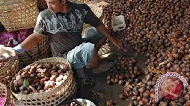 Buah salak