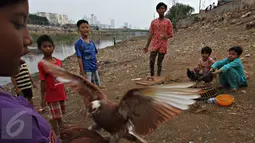 Sejumlah anak bermain burung merpati di bantaran Kanal Banjir Barat (KBB), Tanah Abang, Jakarta, Jumat (9/10). Terbatasnya ruang publik menyebabkan anak-anak tersebut terpaksa bermain di bantaran kanal. (Liputan6.com/Immanuel Antonius)