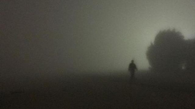 8 Potret Mengerikan Ini Bakal Bikin Bulu Kudukmu Berdiri