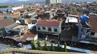 BRIN Beberkan Penyebab DBD Lebih Marak di Perkotaan