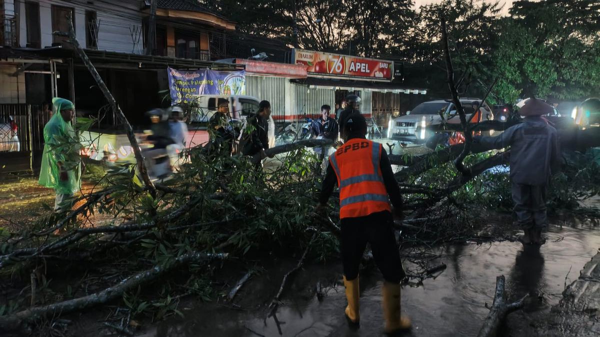 Hujan Deras dan Angin Kencang Porak-porandakan Kota Metro, Pohon Tumbang Rusak Lapak Warga