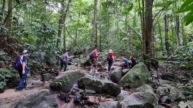 Rute Pendakian ke Gunung Telapak Buruk.