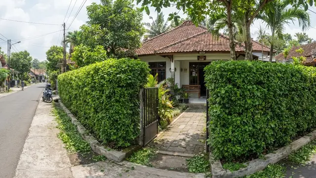 Model pagar hidup dari tanaman yang bikin rumah lebih sejuk dan privat menggunakan teh-tehan