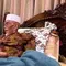 Ulama Besar NTB Tuan Guru Bagu Tutup Usia